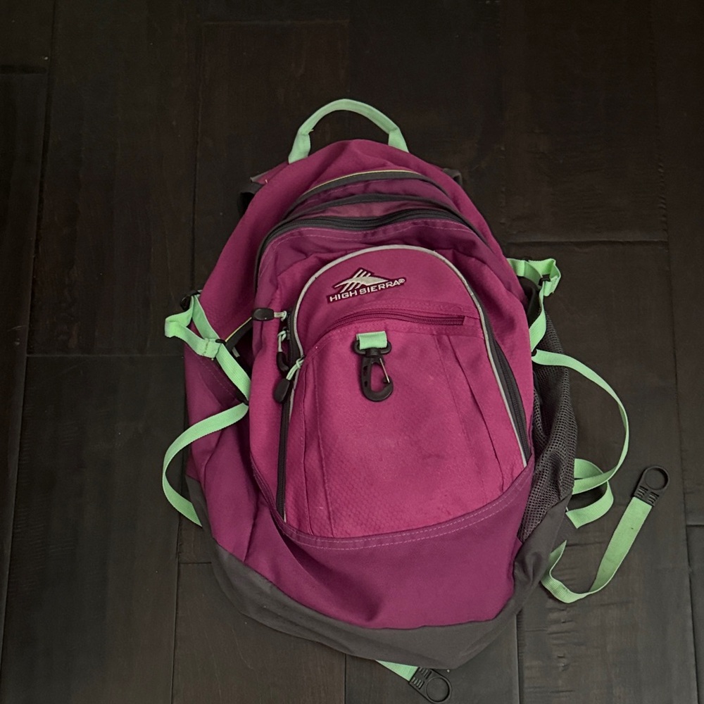 High Sierra Magenta Backpack with Mint Accents